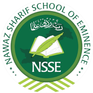 NEES Liaqatpur logo bg remove