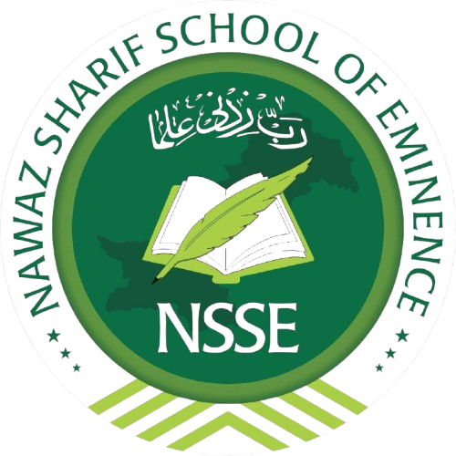 NEES Liaqatpur logo bg remove